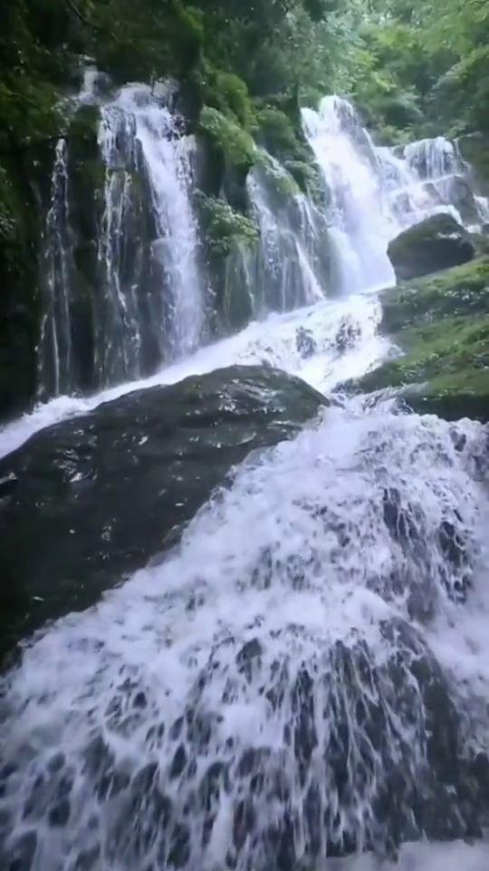 弹弹堂大冒险